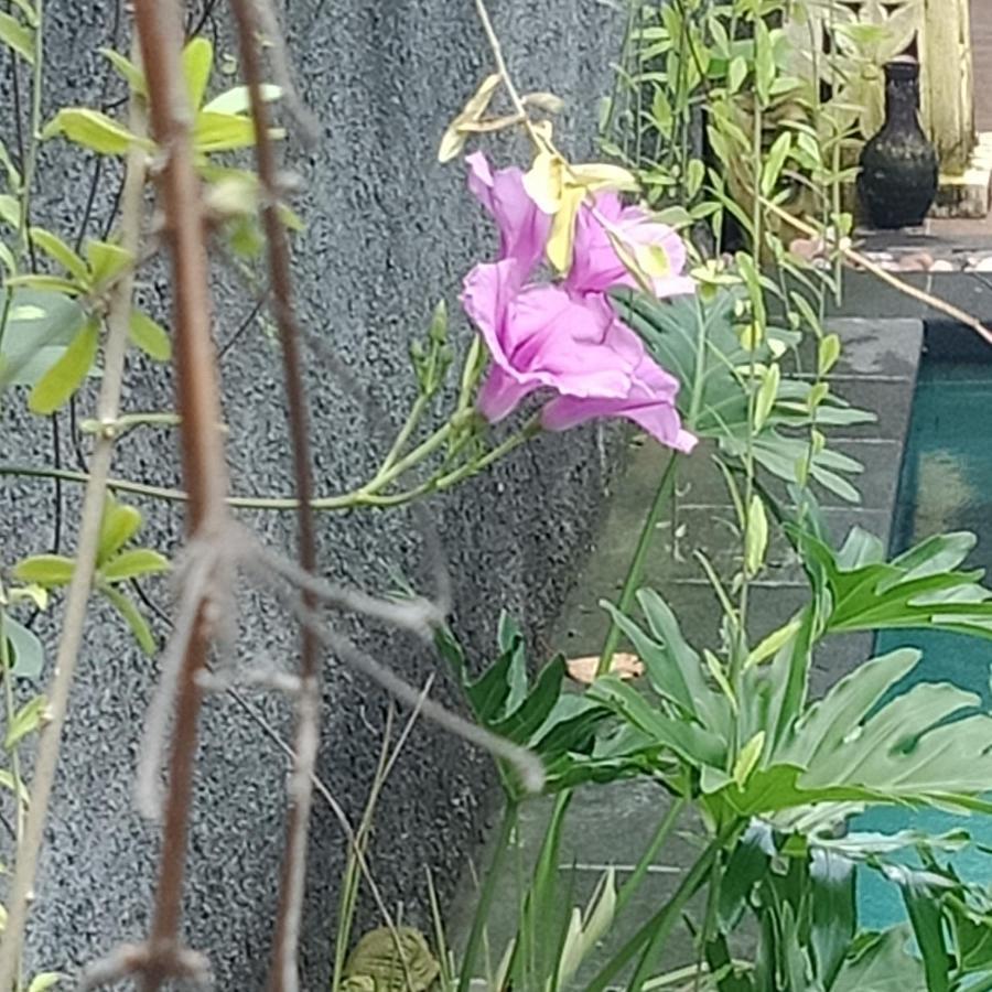 D'Puja Home Stay And Spa Nusa Dua  Kültér fotó